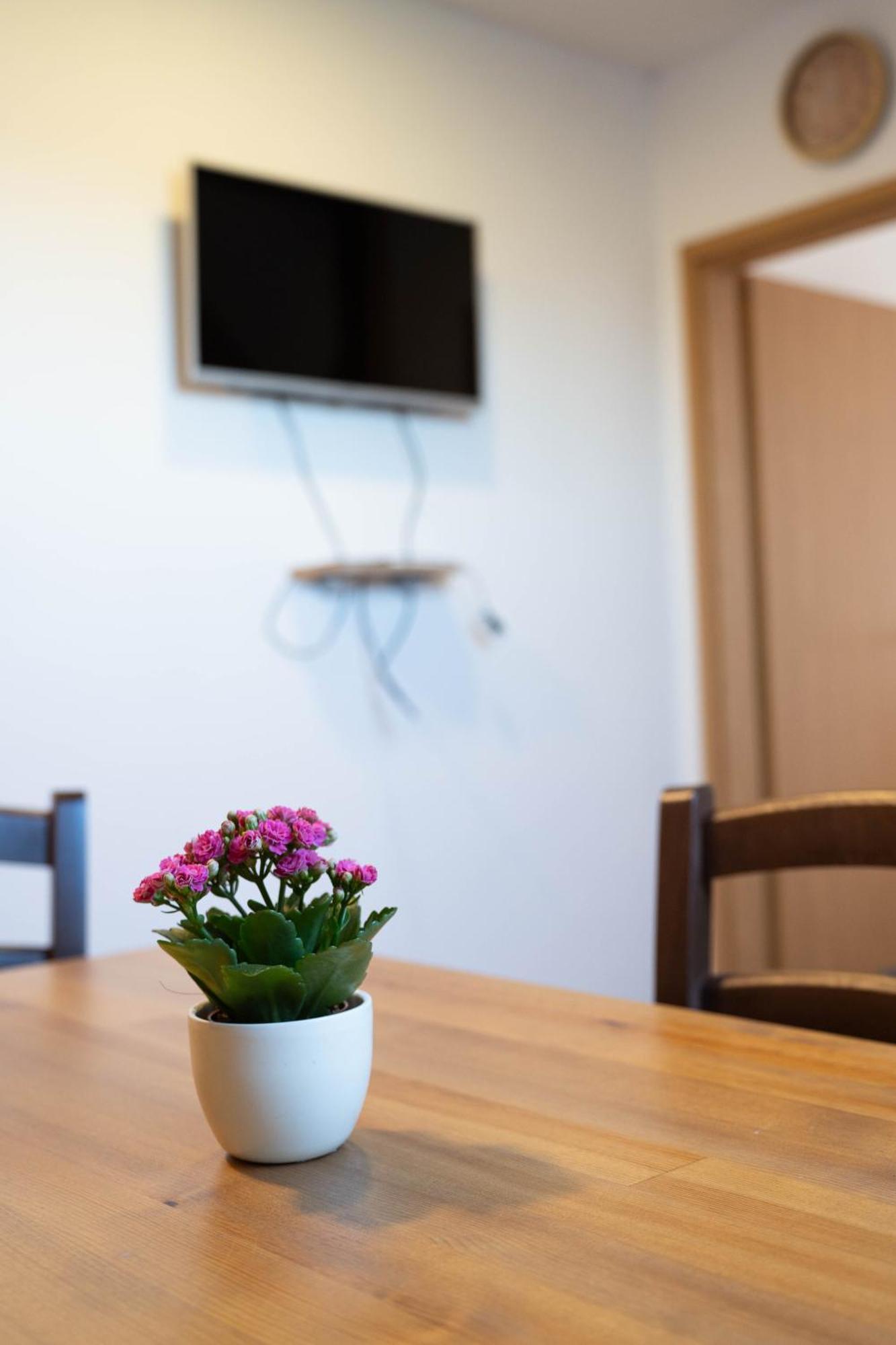 Apartma Sveti Duh Nova Vas  Zimmer foto